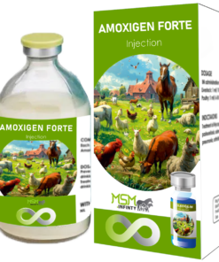 AMOXIGEN FORTE